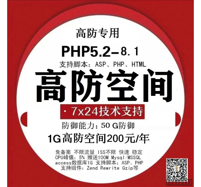高防空间1G100元起