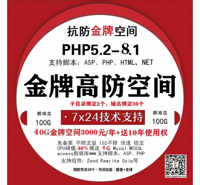 金牌空间B型40G